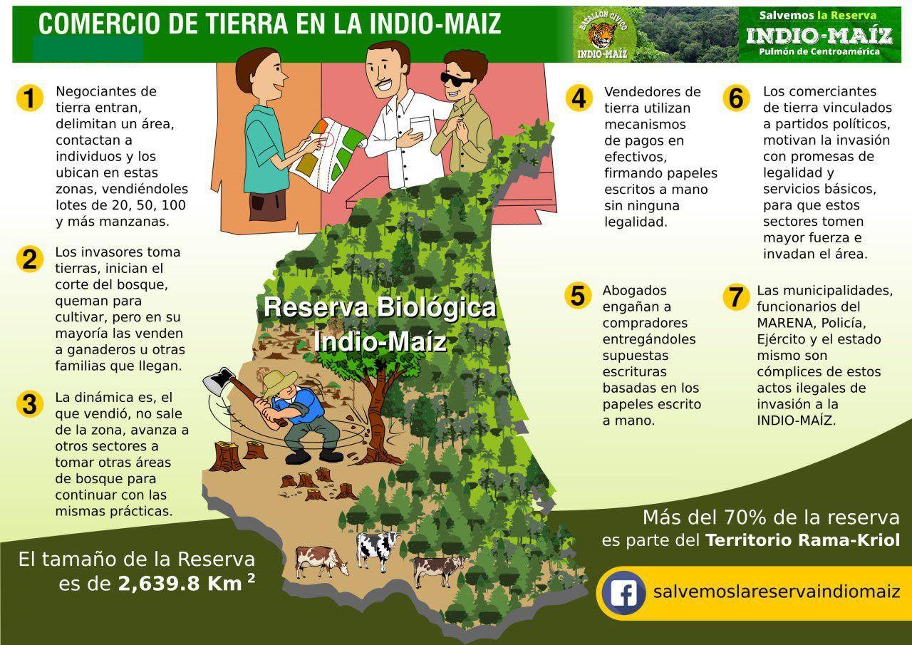 Comercio de tierra en la Indio Maíz