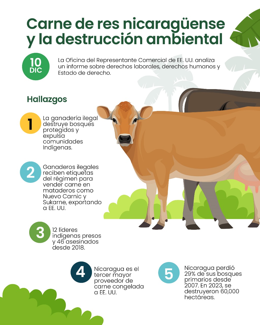 Carne de res nicaragüense y la destrucción ambiental