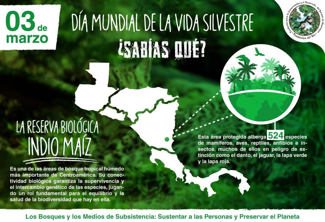 Día Mundial de la Vida Silvestre
