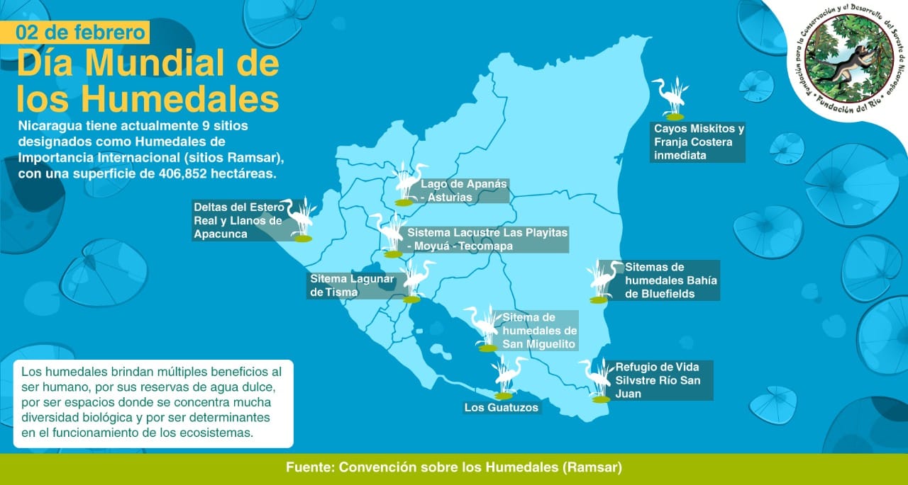 Día Mundial de los Humedales