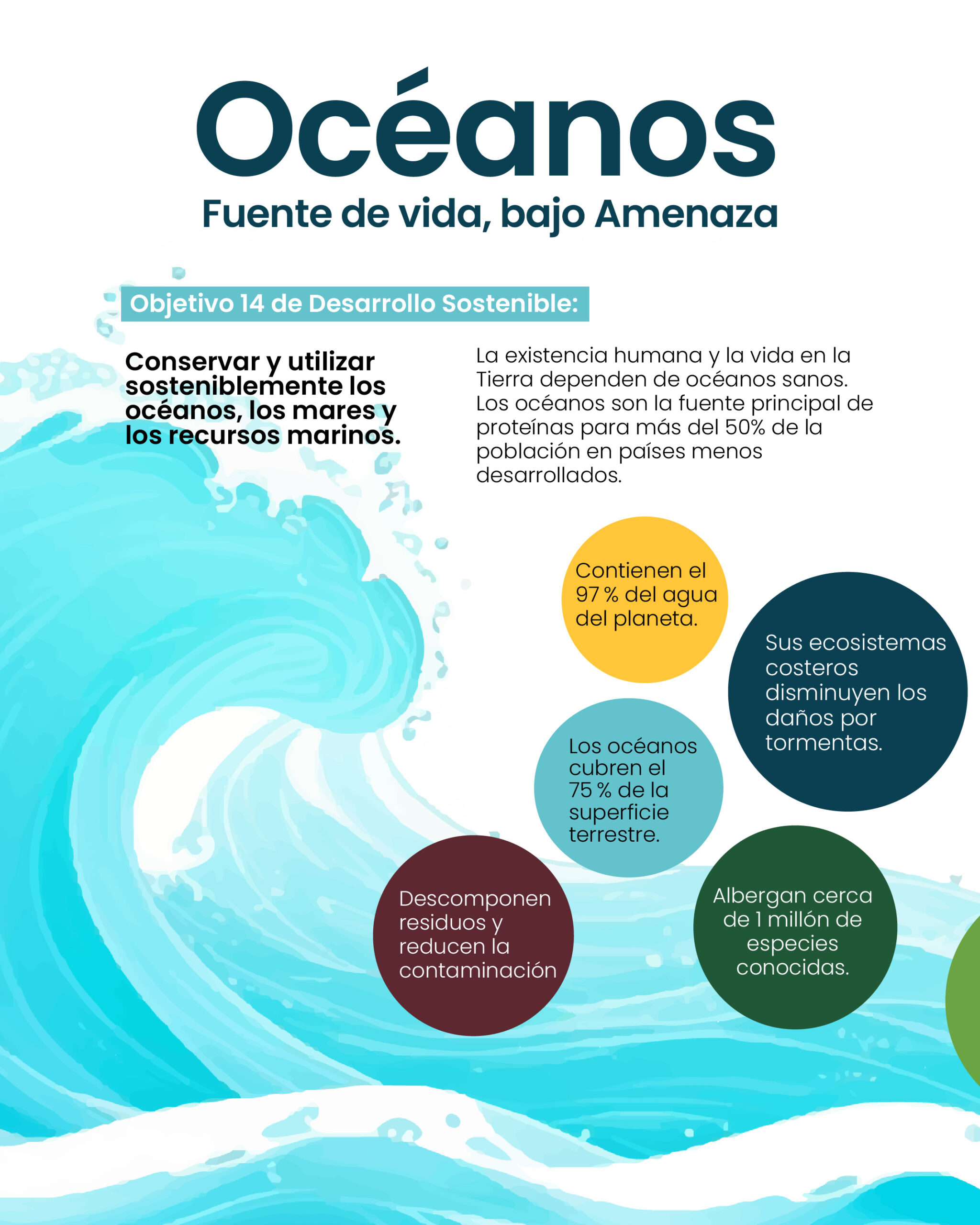 Océanos: Fuente de vida, bajo amenaza